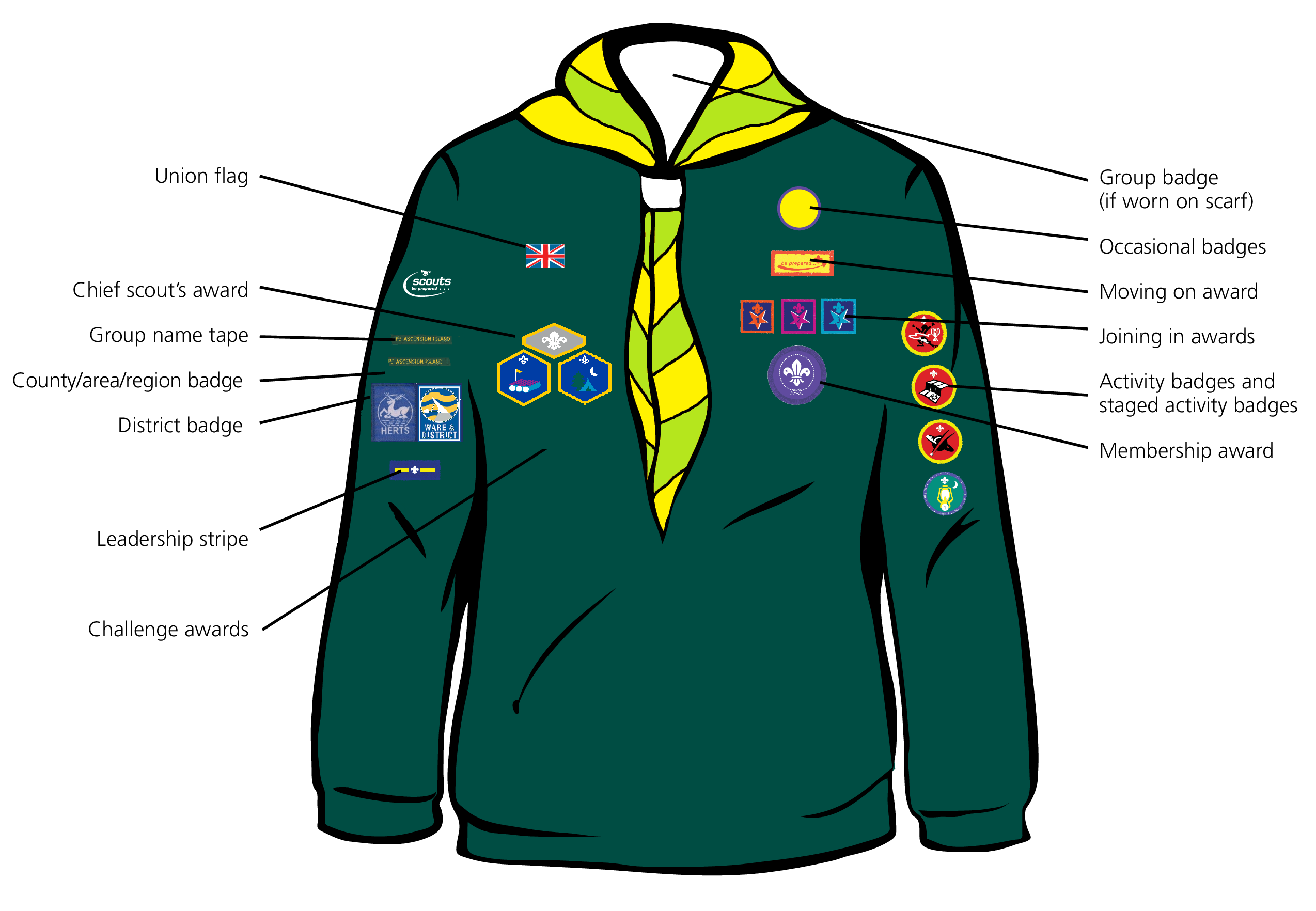 Badges | 16th St Albans Scout Group